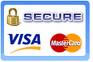 secure visa mastercard